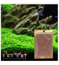 Aquarium Plant Seed- Leaf Grass