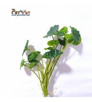 Artificial Plant 26 Artificial Plant 26
