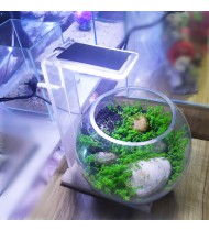 Jar Light Jar Light