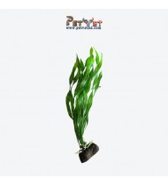 Plastic Plant 2 Plastic Plant 2