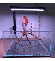 TCFM RGB light plant cultivation light Aquascaping TCFM RGB light plant cultivation light Aquascaping