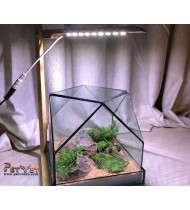 Terrarium Light Terrarium Light
