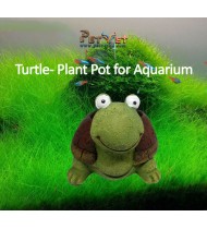 Turtle- Plant Pot for Aquarium Turtle- Plant Pot for Aquarium