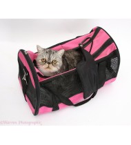 Cat Carrier Cat Carrier