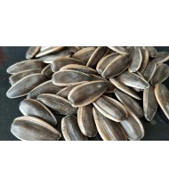 Big Size Sunflower Seed Big Size Sunflower Seed