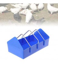 Bird Feeding – Pigeon Feeder Water Food Feeding Birds . Bird Feeding – Pigeon Feeder Water Food Feeding Birds .