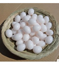 Solid Plastic Eggs Dummy Eggs For pigeons/Bird white 1pes(China) Solid Plastic Eggs Dummy Eggs For pigeons/Bird white 1pes(China)