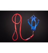 Dog Radium Harness