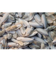 AQUARIUM High Calcium Cuttlefish Bone for All Birds 1kg AQUARIUM High Calcium Cuttlefish Bone for All Birds 1kg