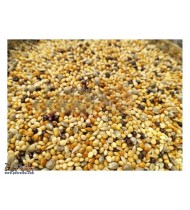 Budgerigar Seed Mix -Imported Budgerigar Seed Mix -Imported