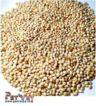 Cream White Millet -1kg Cream White Millet -1kg