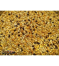 Finches Mix imported birds food Finches Mix imported birds food