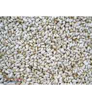 Kusum Beej/ seeds Kusum Beej/ seeds