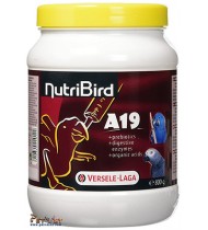 Nutribird Nutribird A19 Hand rearing, 800 g Nutribird Nutribird A19 Hand rearing, 800 g