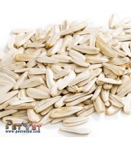 White Sunflower Large Size 1kg White Sunflower Large Size 1kg