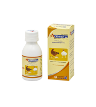 ACIDIFIER VET 100 ml