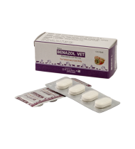 Benazol Bolus Tablet 600 mg Benazol Bolus Tablet 600 mg