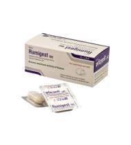Rumigest Vet Bolus Tablet 2 gm+2 gm Rumigest Vet Bolus Tablet 2 gm+2 gm