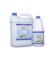 CAL+ CAL+
