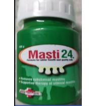 Masti 24 Powder 100 g Masti 24 Powder 100 g