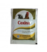 Coxina Coxina