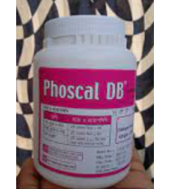 Phoscal DB