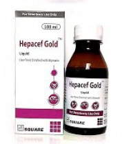 Hepacef Gold Liquid 100ml Hepacef Gold Liquid 100ml