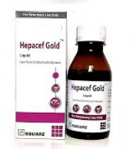 Hepacef Gold Liquid 1L Hepacef Gold Liquid 1L