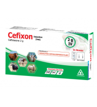 Cefixon Injection 2g/Vial