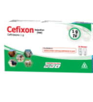 Cefixon Injection 1g/Vial